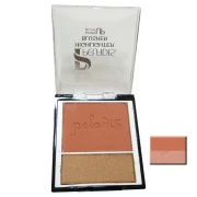 رژگونه هایلایتر شماره 105 پلادیس