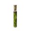 عطر اگزدوس Charm (30میل )