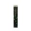عطر اگزدوس Infinite Shine (30میل)