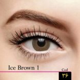 مجیک آی لنز ( Ice Brown 1 ) شماره 36