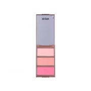 میچانو رژ گونه 3 رنگ شماره MB-420